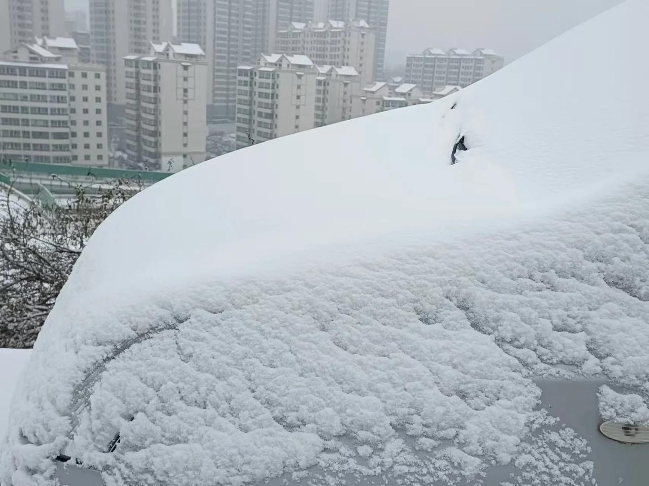 期望下雪🌨的日子！[玫瑰][红包来啦][招财进宝]