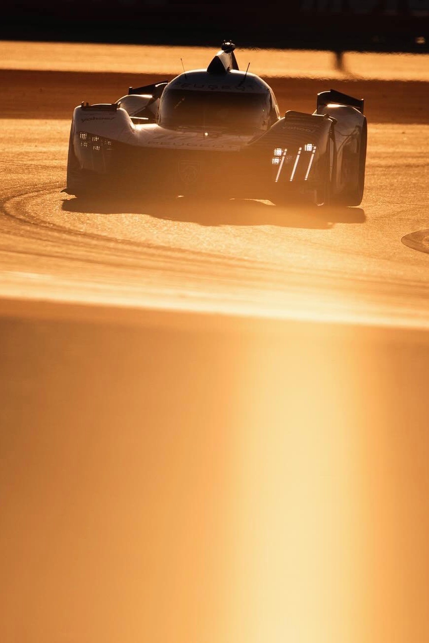 🐮#WEC# ​​​