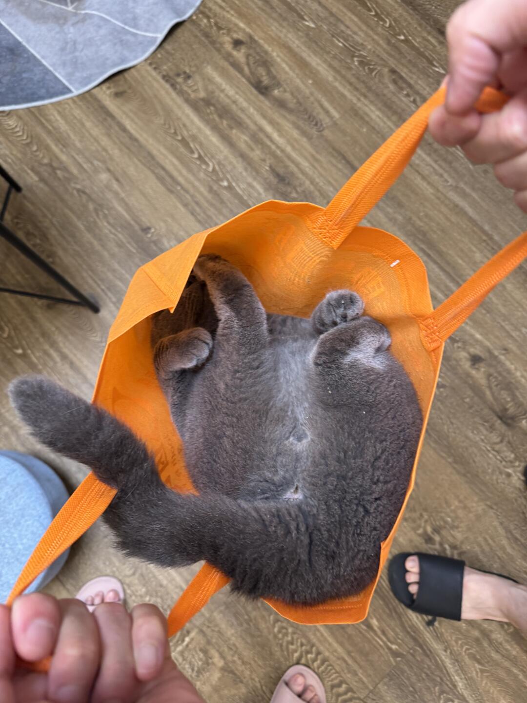 上才艺！