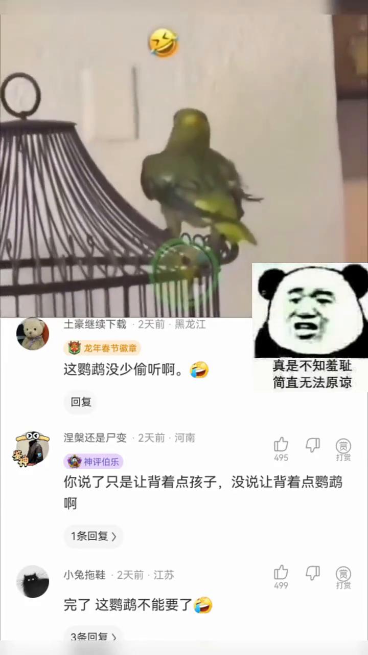 真是不知羞耻，这鹦鹉没少偷听，简直无法原谅。你说了只是让背着点孩子，没说让背着点