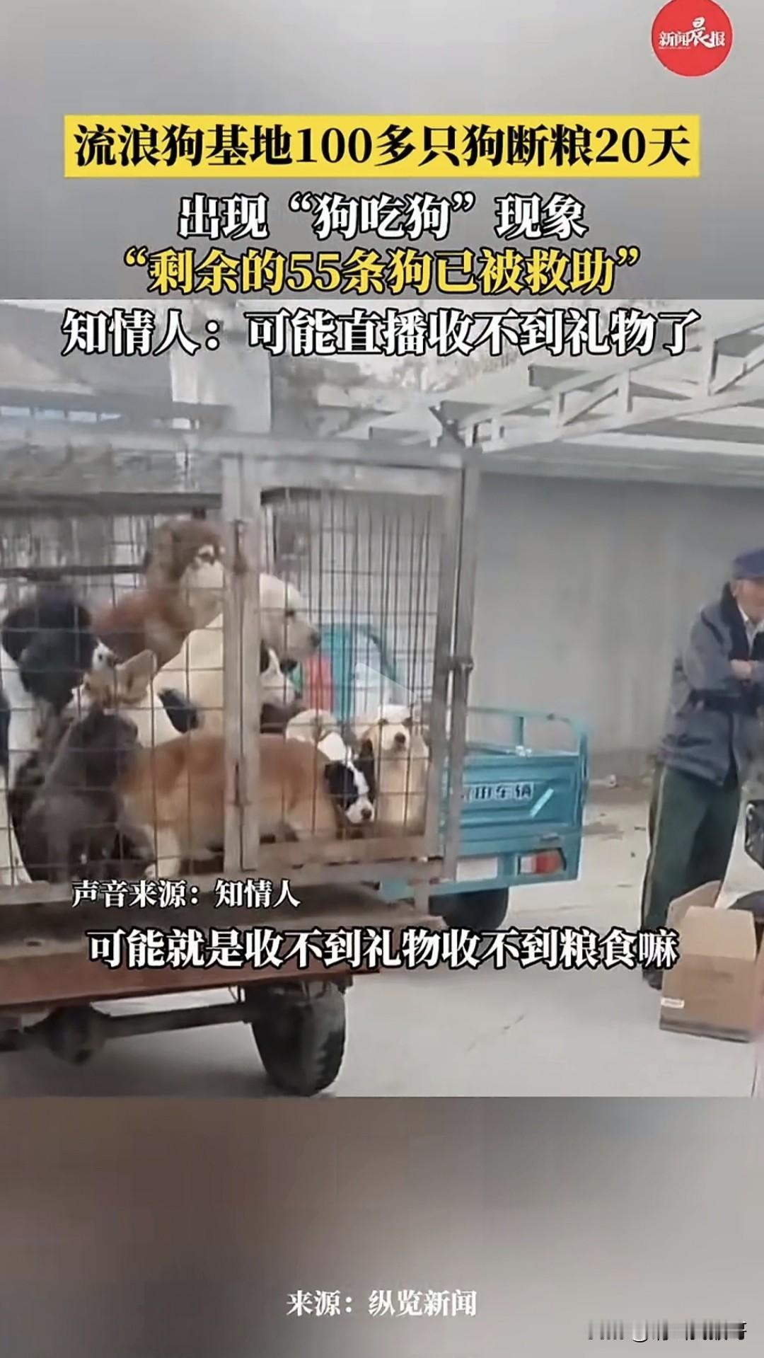 今天看到安徽流浪狗的一个新闻，才发现有些“爱狗人士”是借狗赚钱。现在直播行业火，