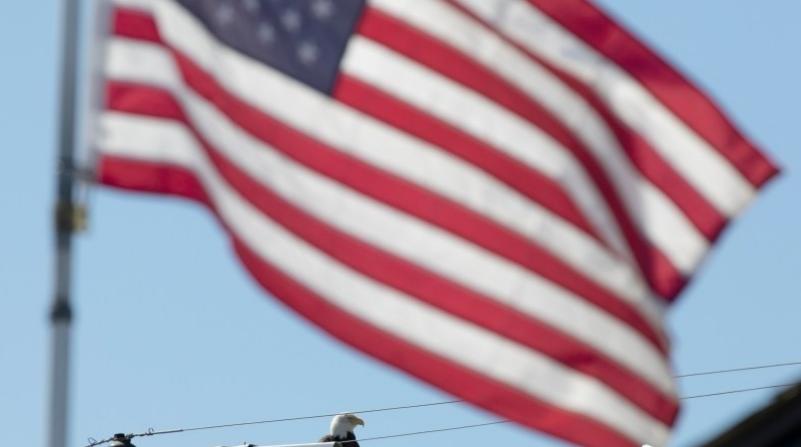 宣布辞职一小时后，美国陆军参谋长说：“一个疯子将带领伟大的美国军队走向毁灭。”这