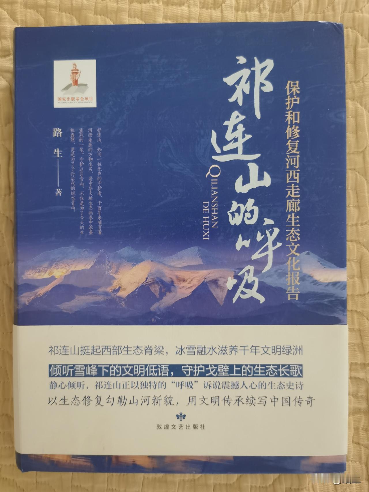 路生：能把历史、地理和人写活的人

路生的作品很有辨识度：思想鲜明、现场感强、格