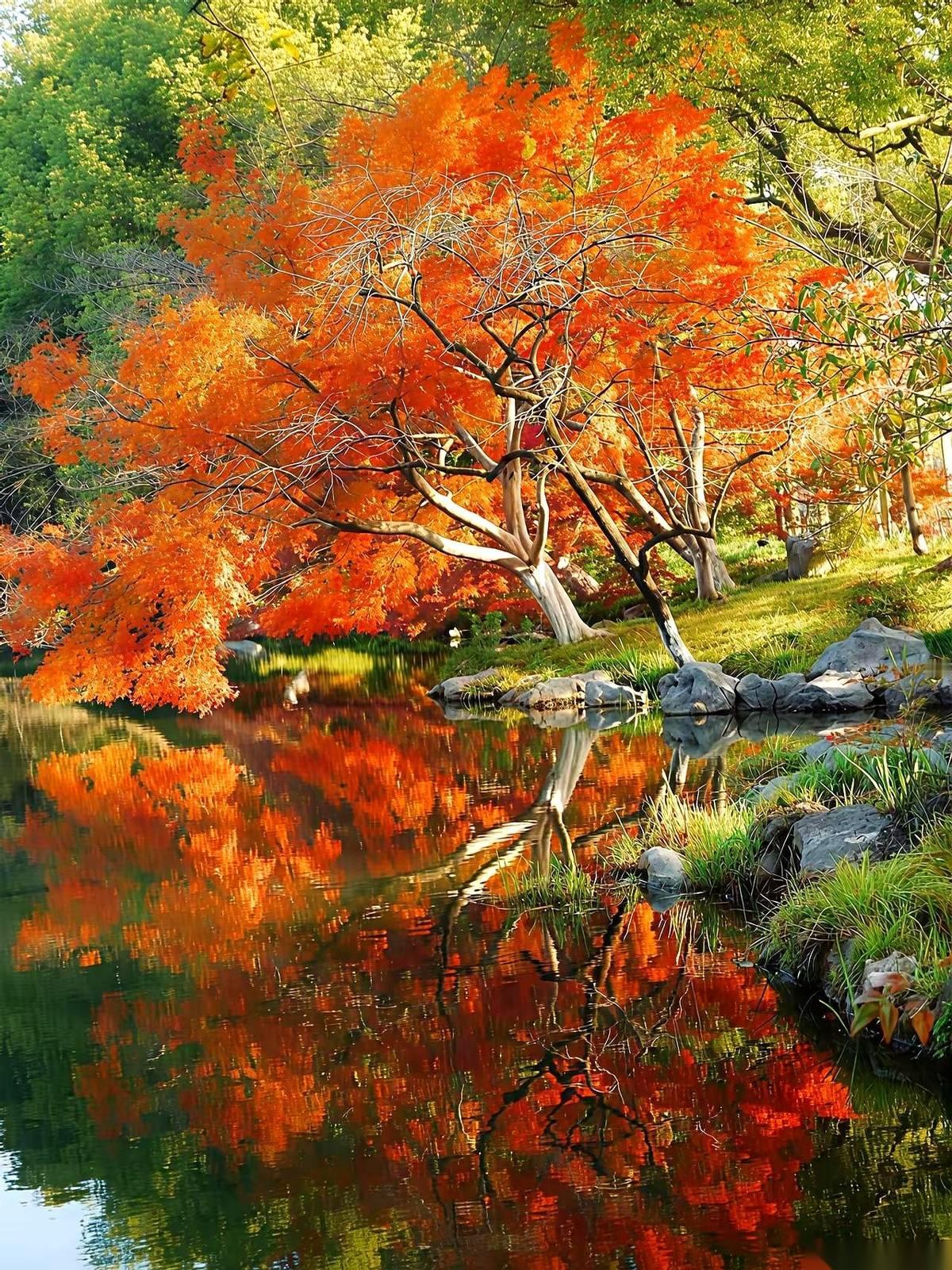 一个大爷，退休后疯玩了5年，几乎把中国跑遍了。
我问他啥感觉。
他说，就俩字：上