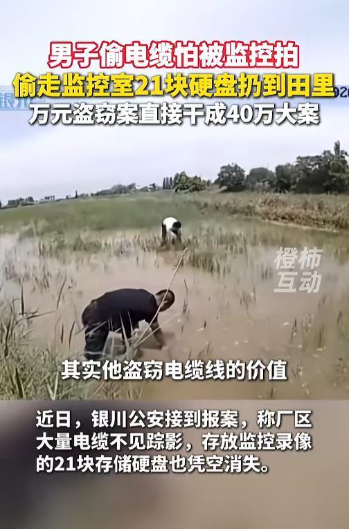 “万万没想到！”7月8日报道，宁夏银川，一男子在厂区干活手不干净，偷了厂区的电缆