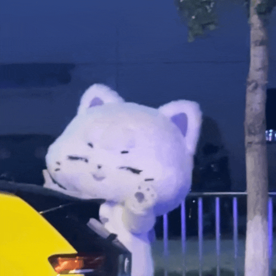 沉迷沅汽咪，一点儿也不紧张了