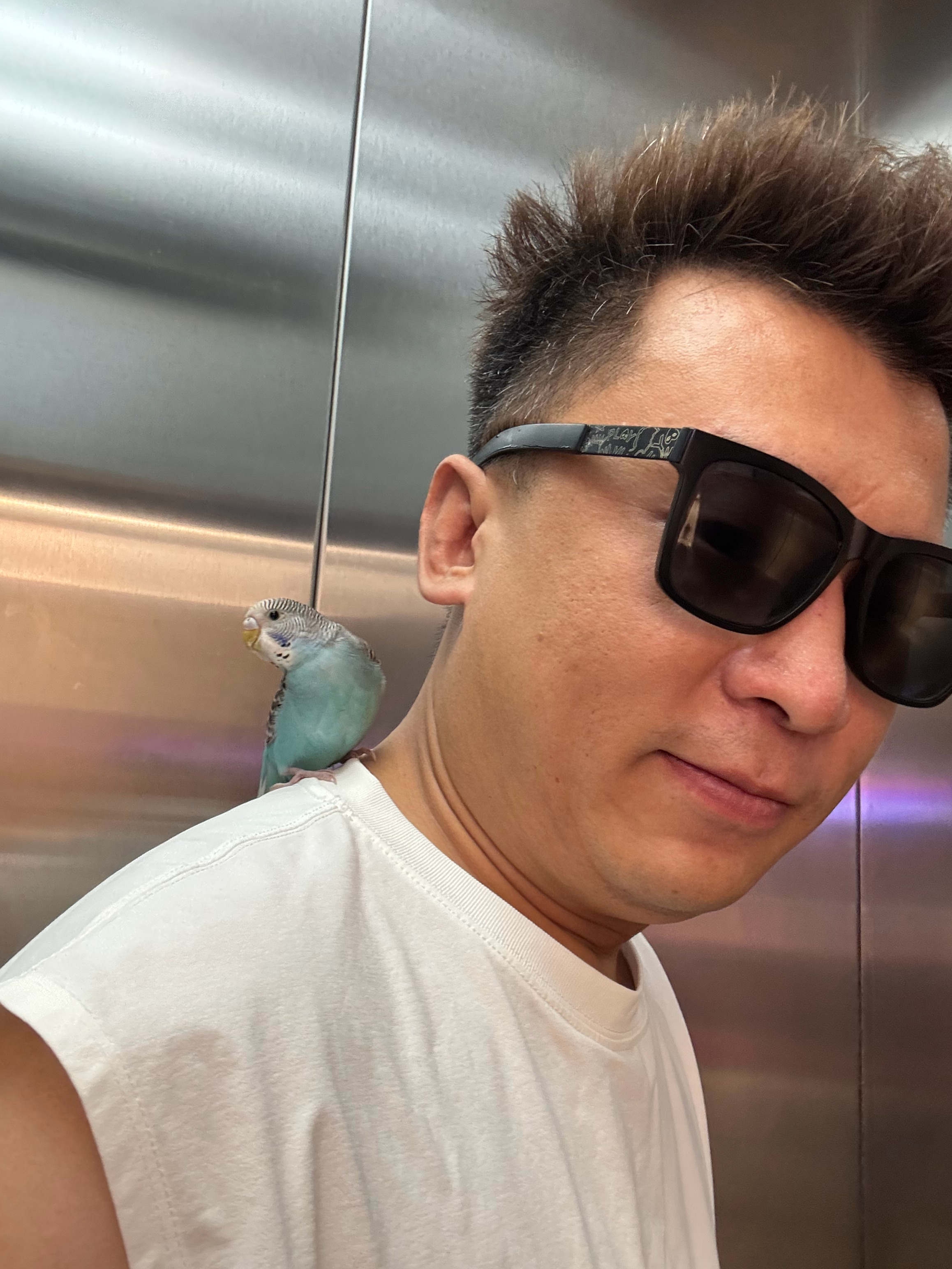 这小鸟，在身上还挺听话。 哈哈 ​​​