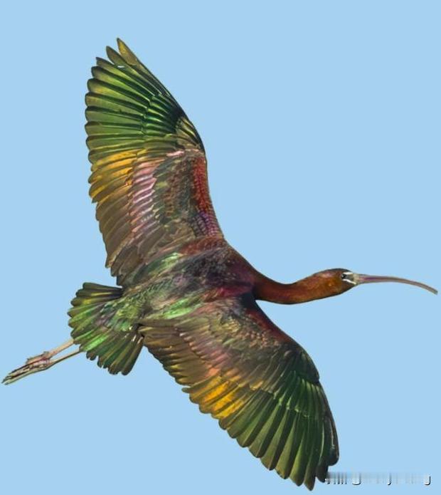 经济宛如一只顽皮的猴子，在繁荣、衰退、通胀、通缩这四种状态间来回穿梭、上蹿下跳，