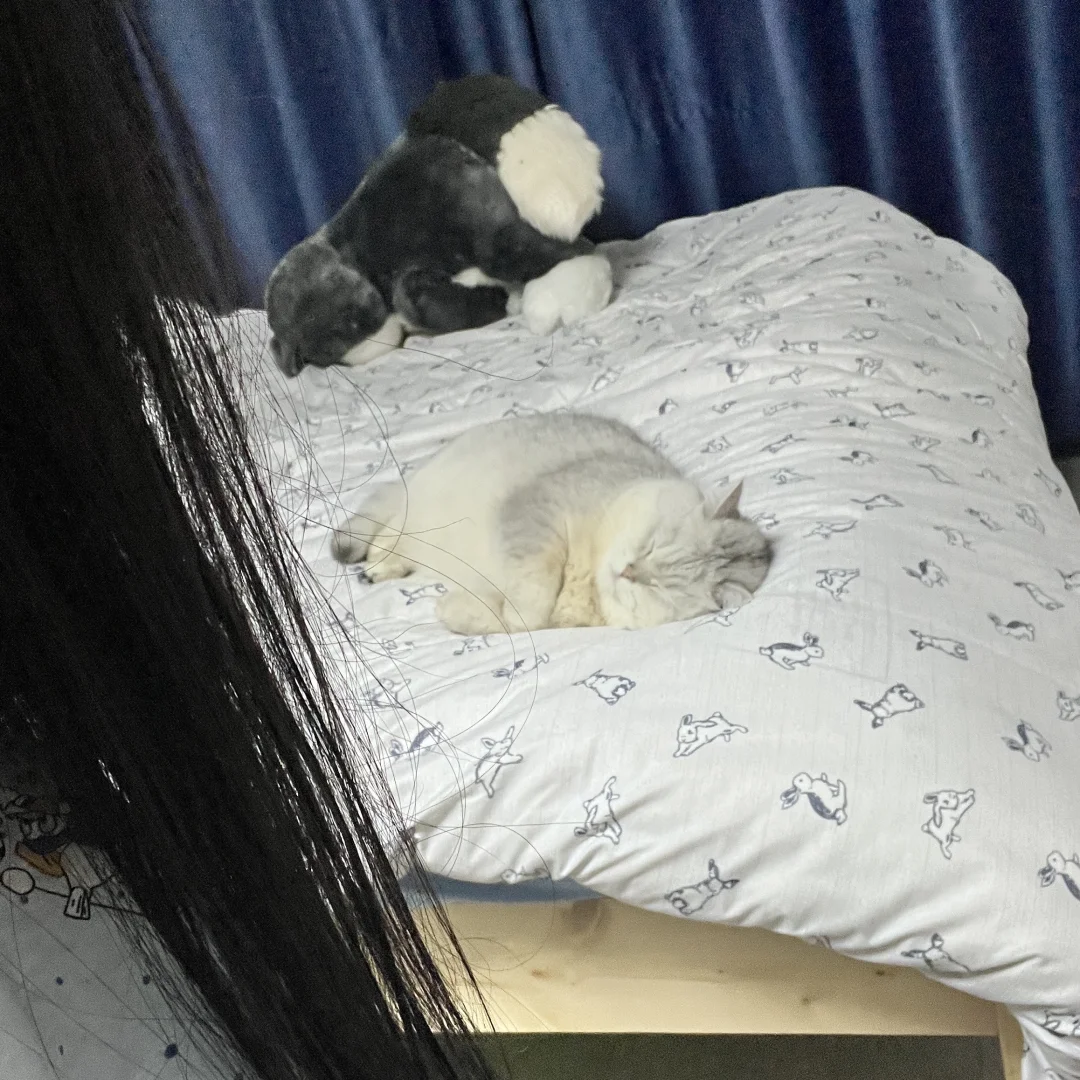 呜呜呜这跟自己生的有什么区别