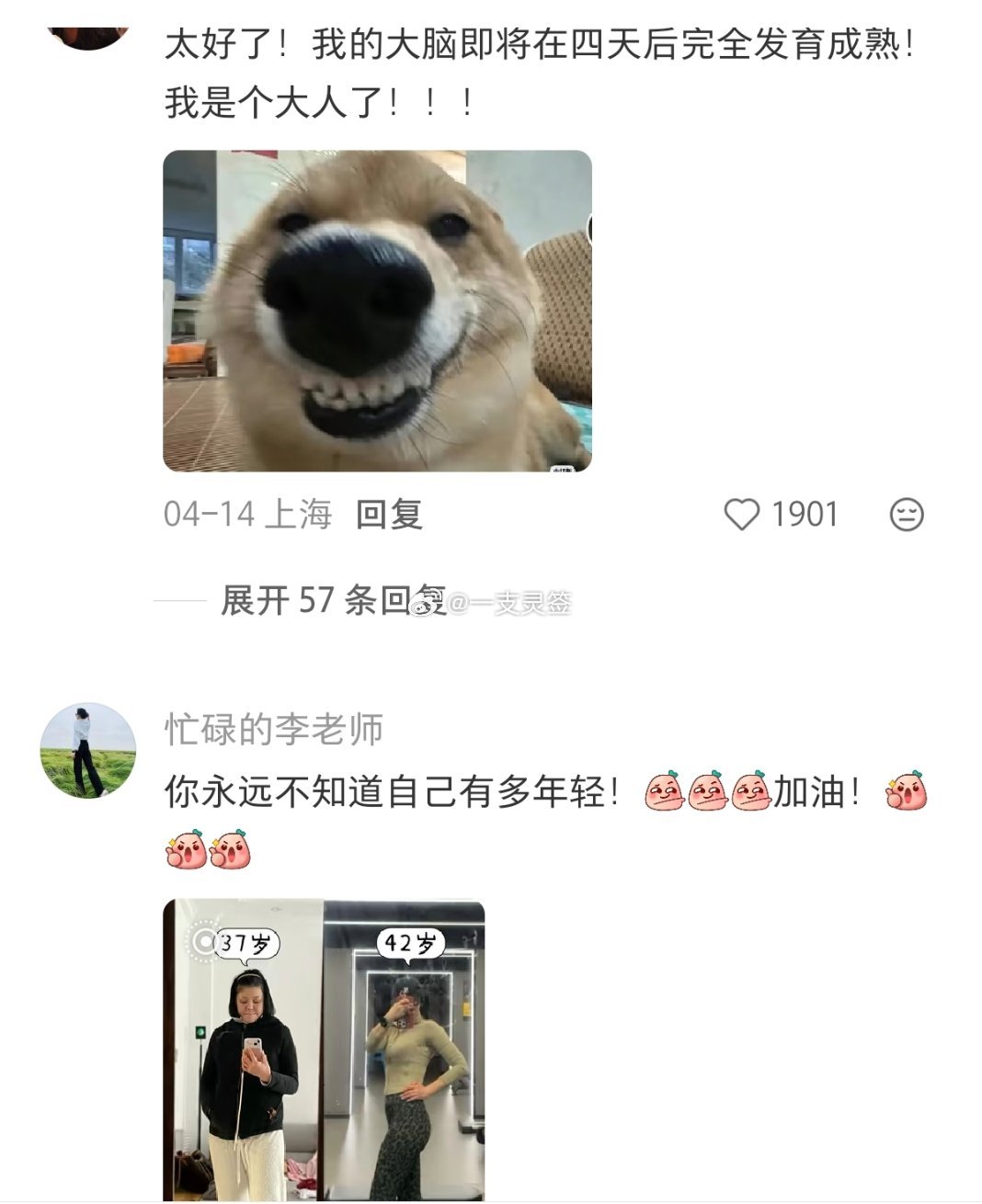 你不会有比今天更年轻的时刻了 