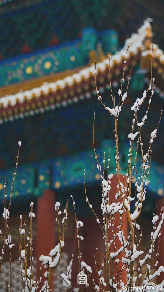 故宫的雪景真的美爆了，好想去故宫看雪啊 