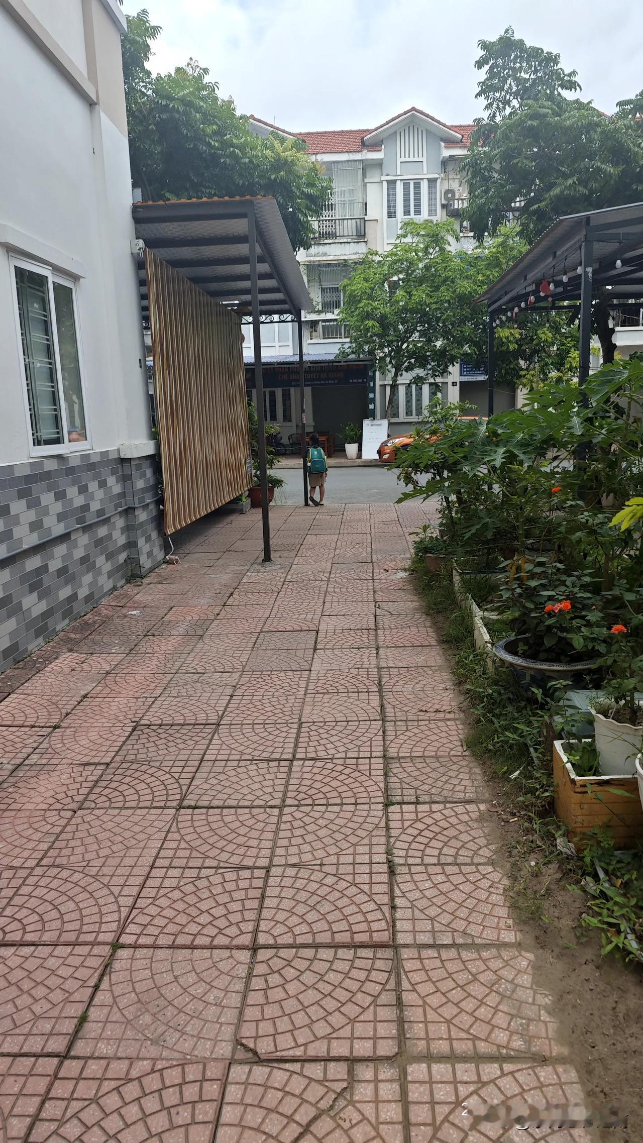每天早上我下楼去上班时，都看到一个越南小女孩，背着书包独自一人在楼下的路边等车，