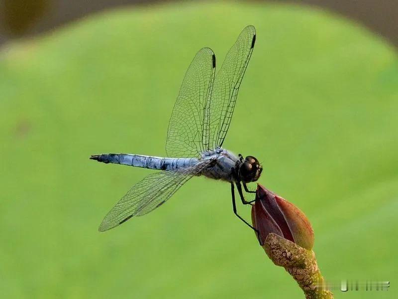 学业成绩好中差三类孩子如何度过寒假
总的思路是，学业成绩好的要多学快学，学业成绩