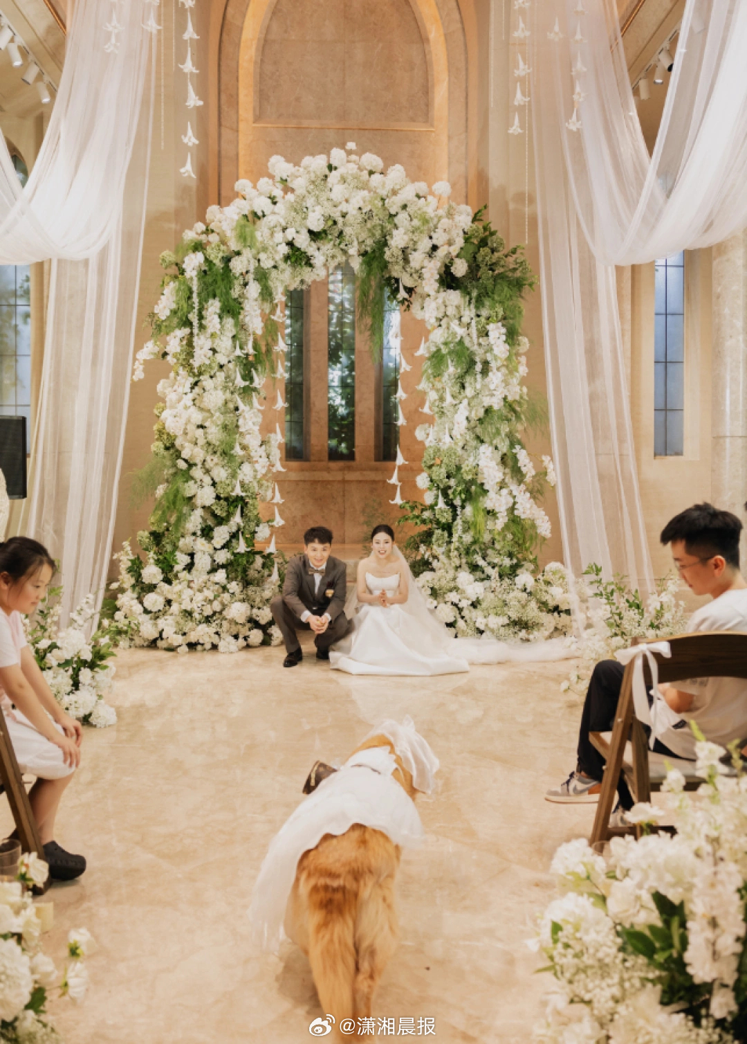 【#为让患肿瘤狗狗参加新人提前婚礼#：狗狗11岁，不想留遗憾】“这一刻只属于豆豆