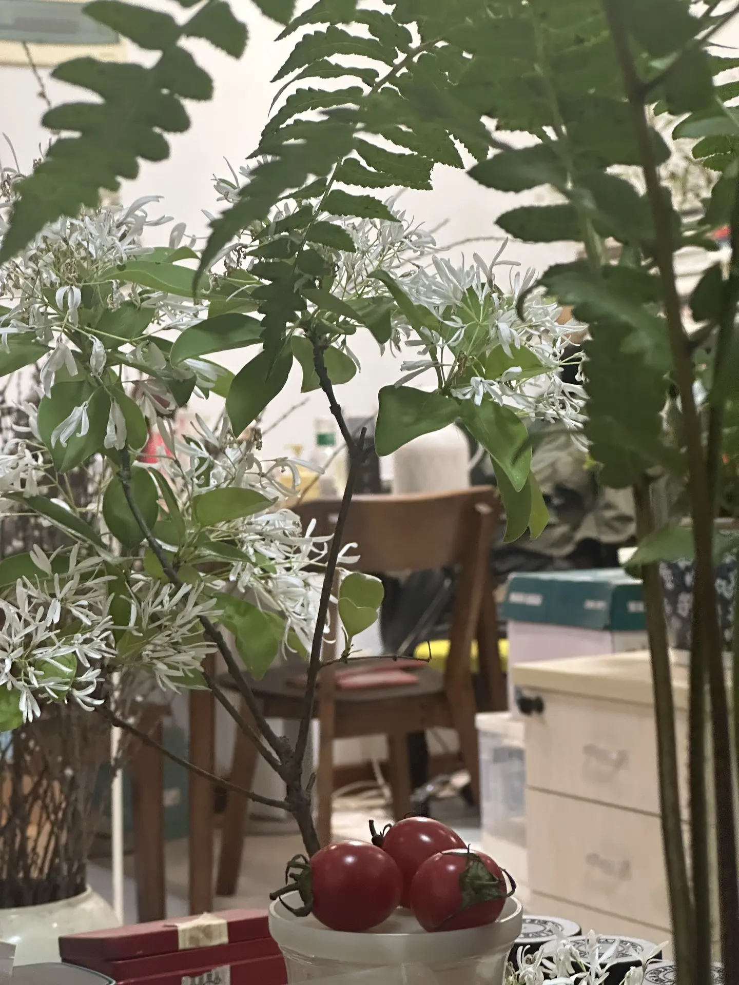 站在心理学的角度， 在自己能力范围内， 不要让自己吃一点苦， 也不要听...