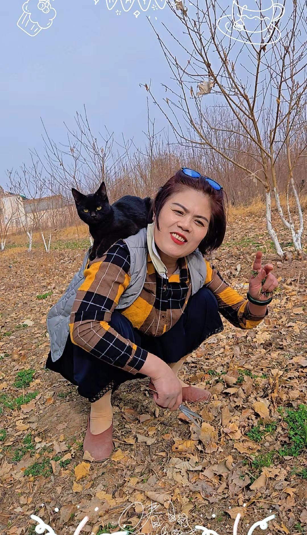 好久不见，拔苜蓿生活碎片