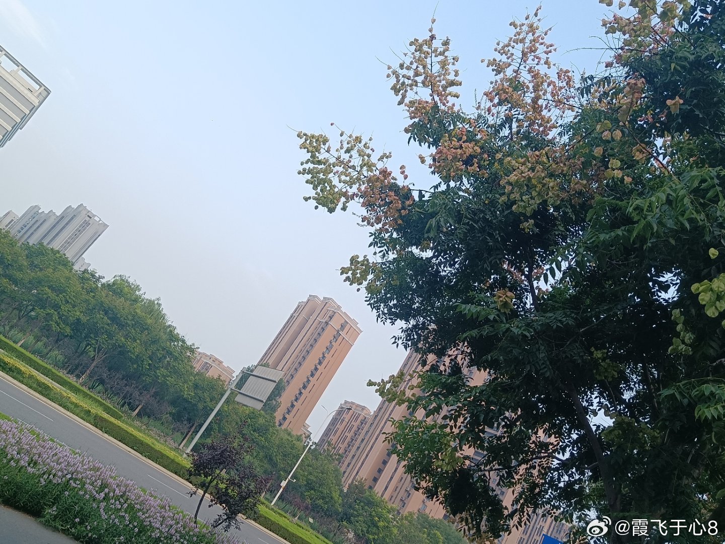 手机摄影 秋色已爬上树梢，静静悄悄舒展自己的诗情画意 