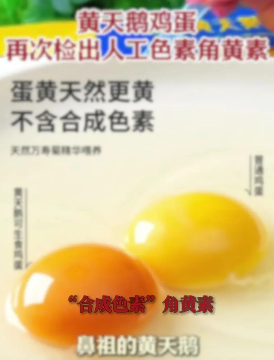 被检测出角黄素的鸡蛋事件迎来大反转！黄天鹅三问底气十足:
第一，检测出角黄素等同
