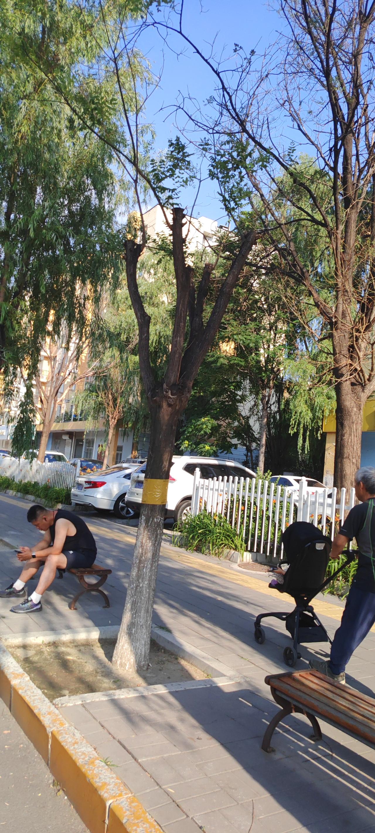 没粉丝，没收益，还要不要坚持下去没粉丝、没收益，依然值得坚持。正如鸟唱歌不为掌声