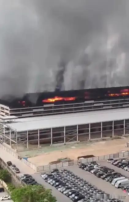 标题：比亚迪工厂凌晨烧红了天，网友吵翻天：卖得好，更要“站得稳”

4月14号凌