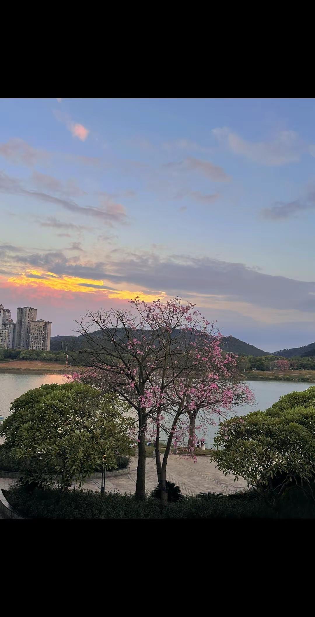 归零 更新 重启 向上 时光周而复始 允许重新出发.
