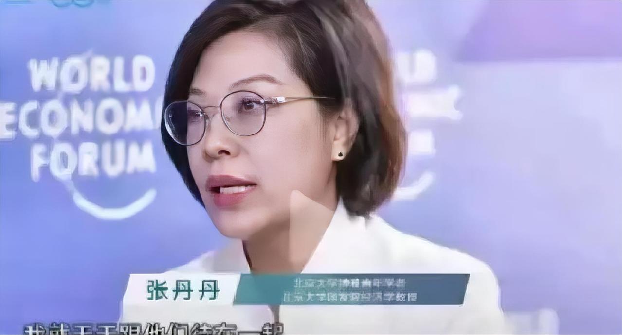 最害人的从不是落后，是专家坐在空调房里编出来的完美农村方案
 
当一群没摸过枪的