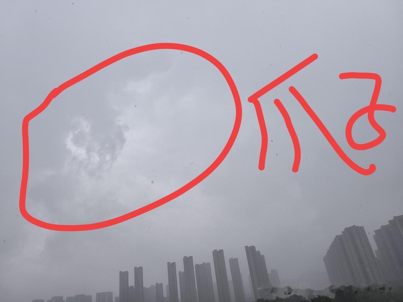 原来这只秋老虎也是想探探路子的，却没想到南京这块宝地始终被老天爷保护着、吓的它连