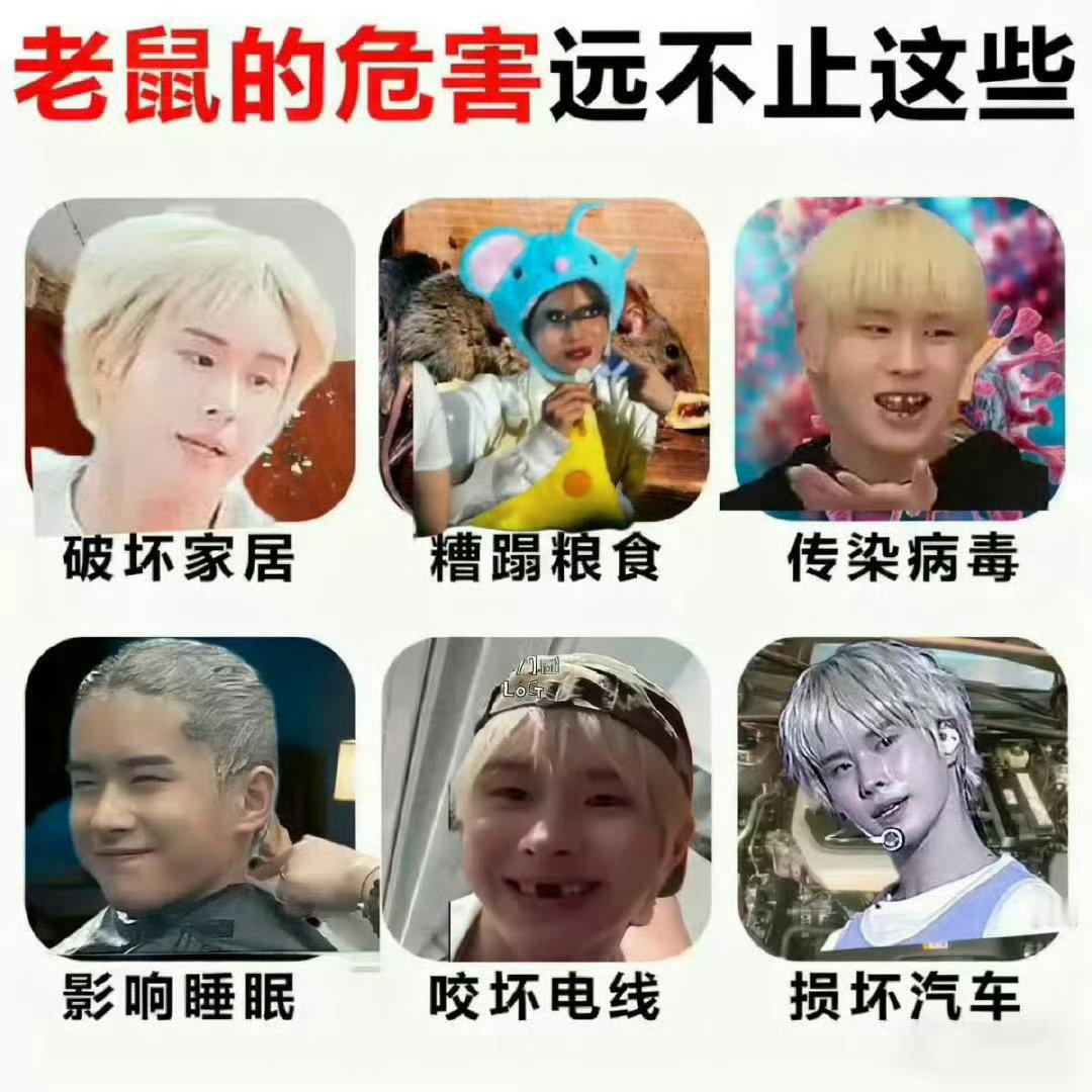 李炅潣 一只小🐭 韩成洙专属飞坤杯 