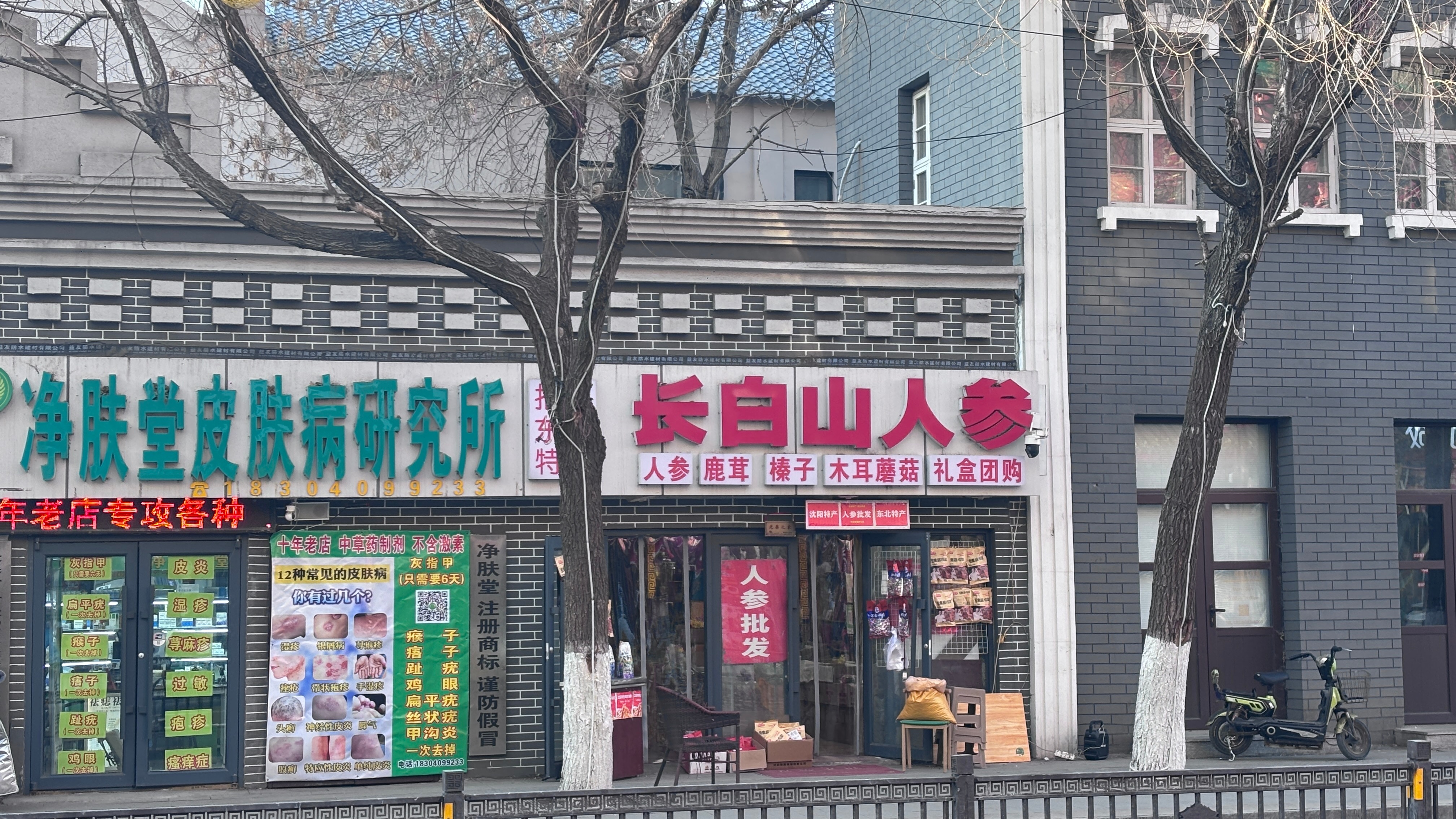 万万没想到原来长白山的人参是可以批发的。