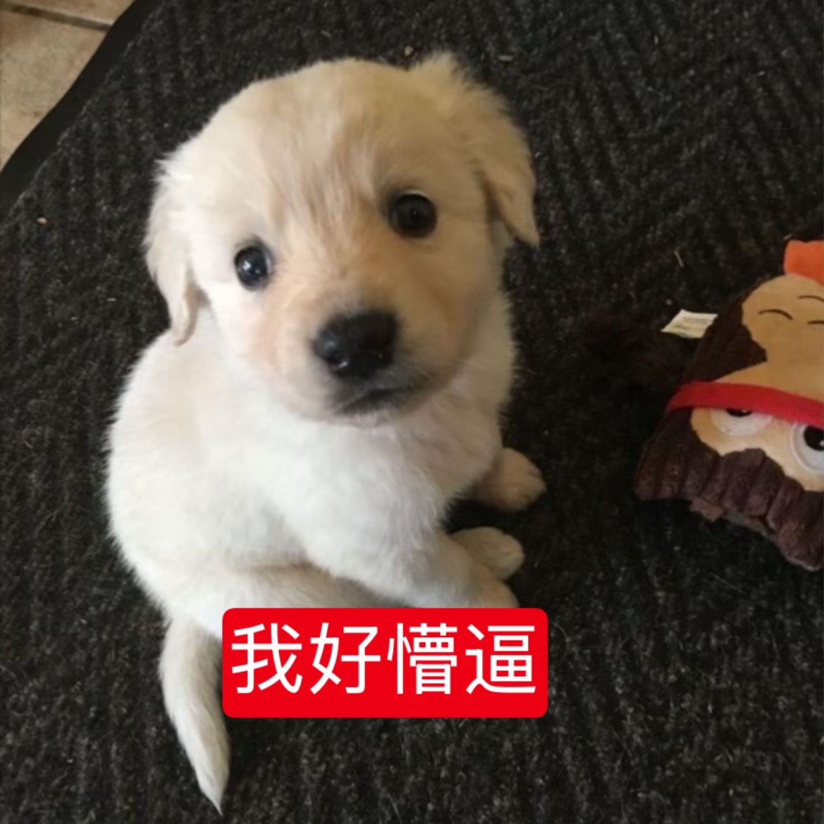 这个世界可以对敬业努力且每天都为了剧照顾到所有人情绪的人一个好脸色吗 