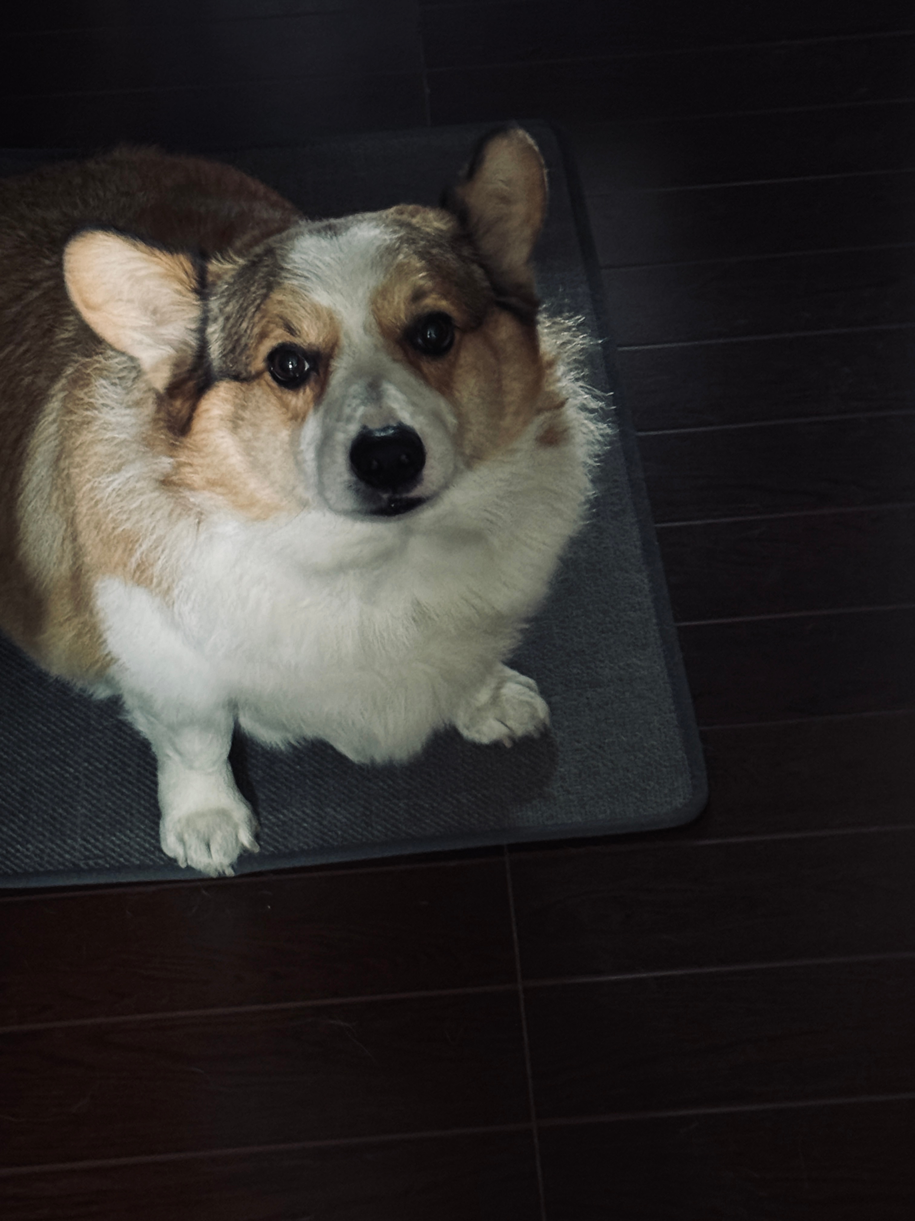 “你确定不带我出去玩吗？爸爸” 