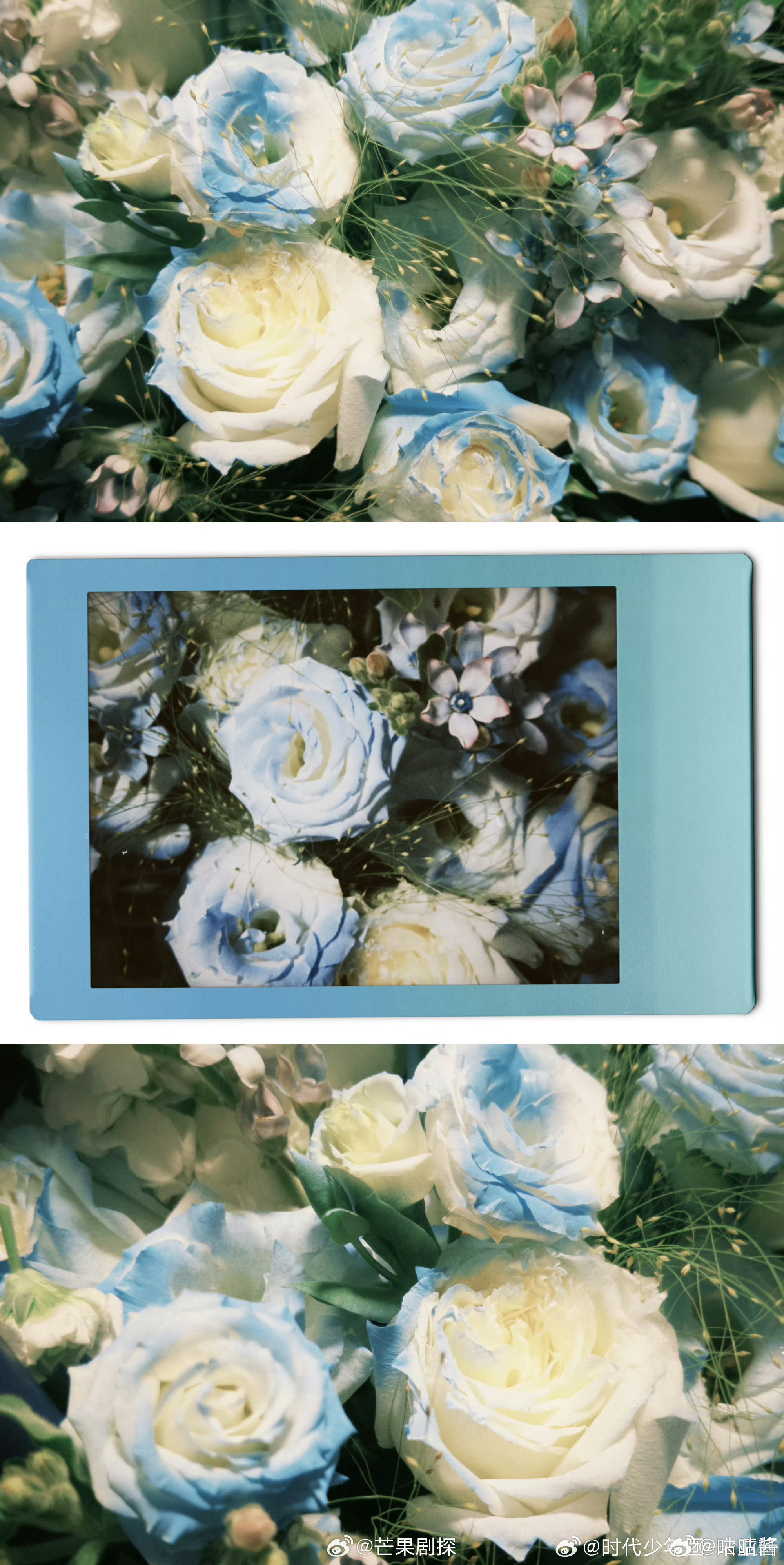 宋亚轩发了冰萃白玫瑰宋亚轩给大家送花祝妇女节快乐 难得正经，发冰萃白玫瑰祝各位妇