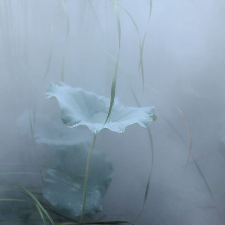 Sometimes the heart sees what is invisib