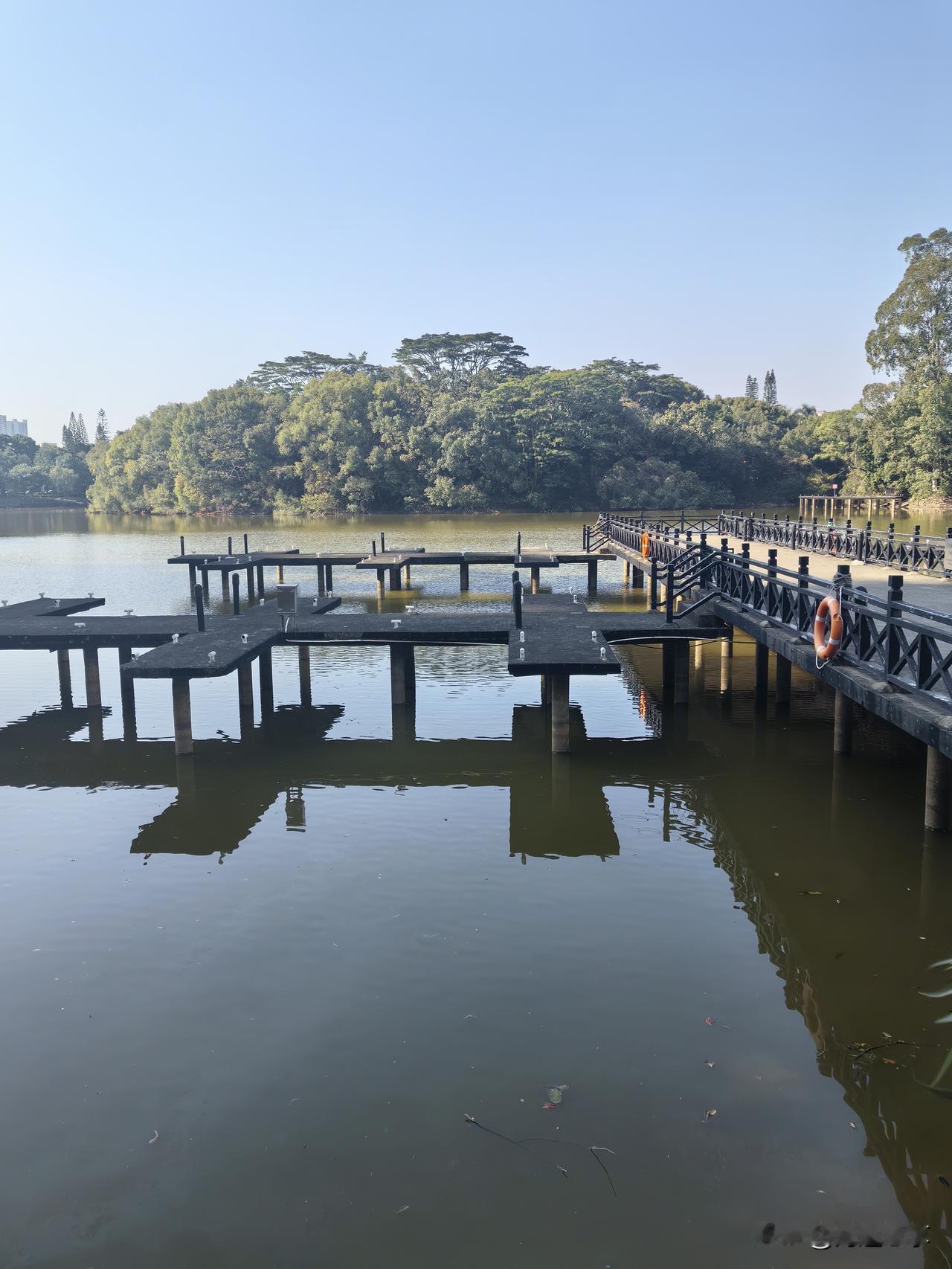 蹲下来看鱼吐泡泡，忽然觉得——
原来平静，是比热闹更治愈的东西。