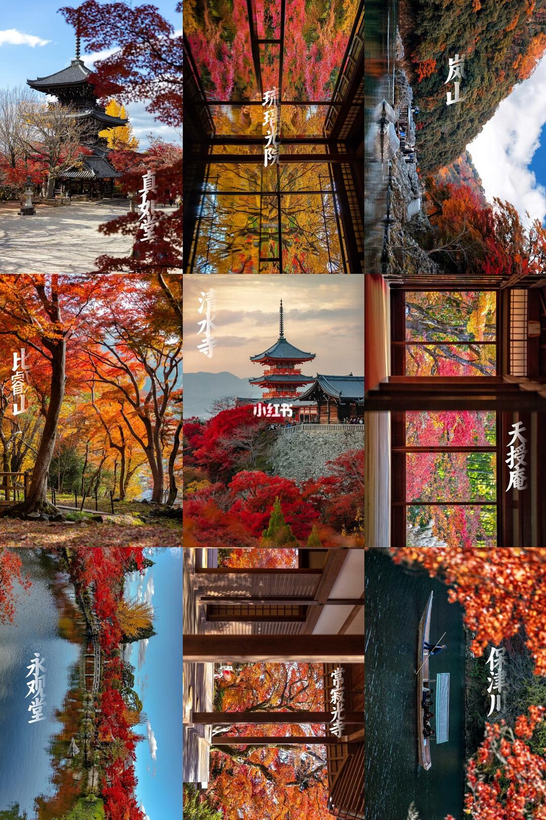 京都赏枫🍁冲刺❗️建议去完这九个地方再离开
