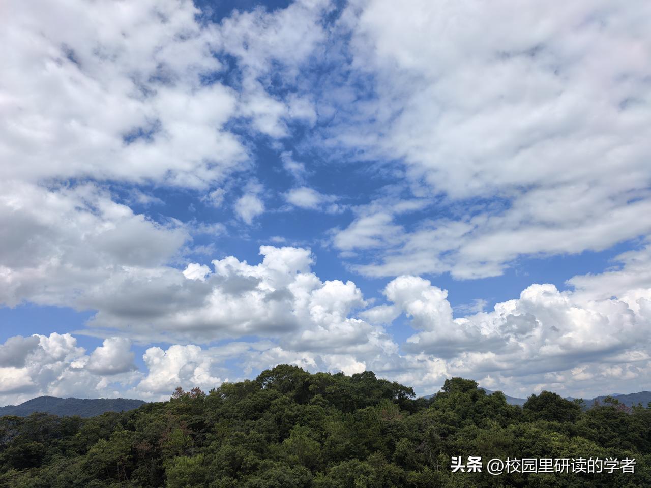 退休生活小感悟：

不知道自己是不是骨子里就是清心寡欲，退休之后搬进了这山旮旯里