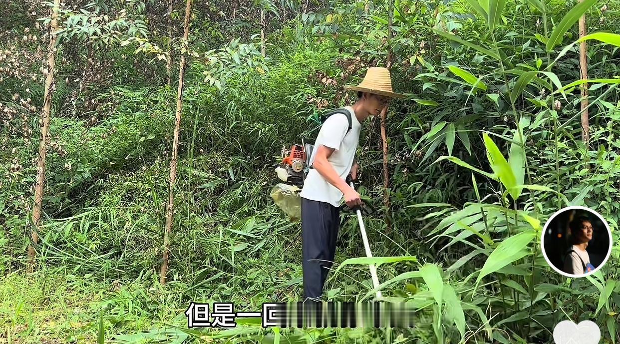 唐尚珺只是年龄大了点，这孝心没得说[赞]端午节放假3天，唐尚珺在家干了两天农务[