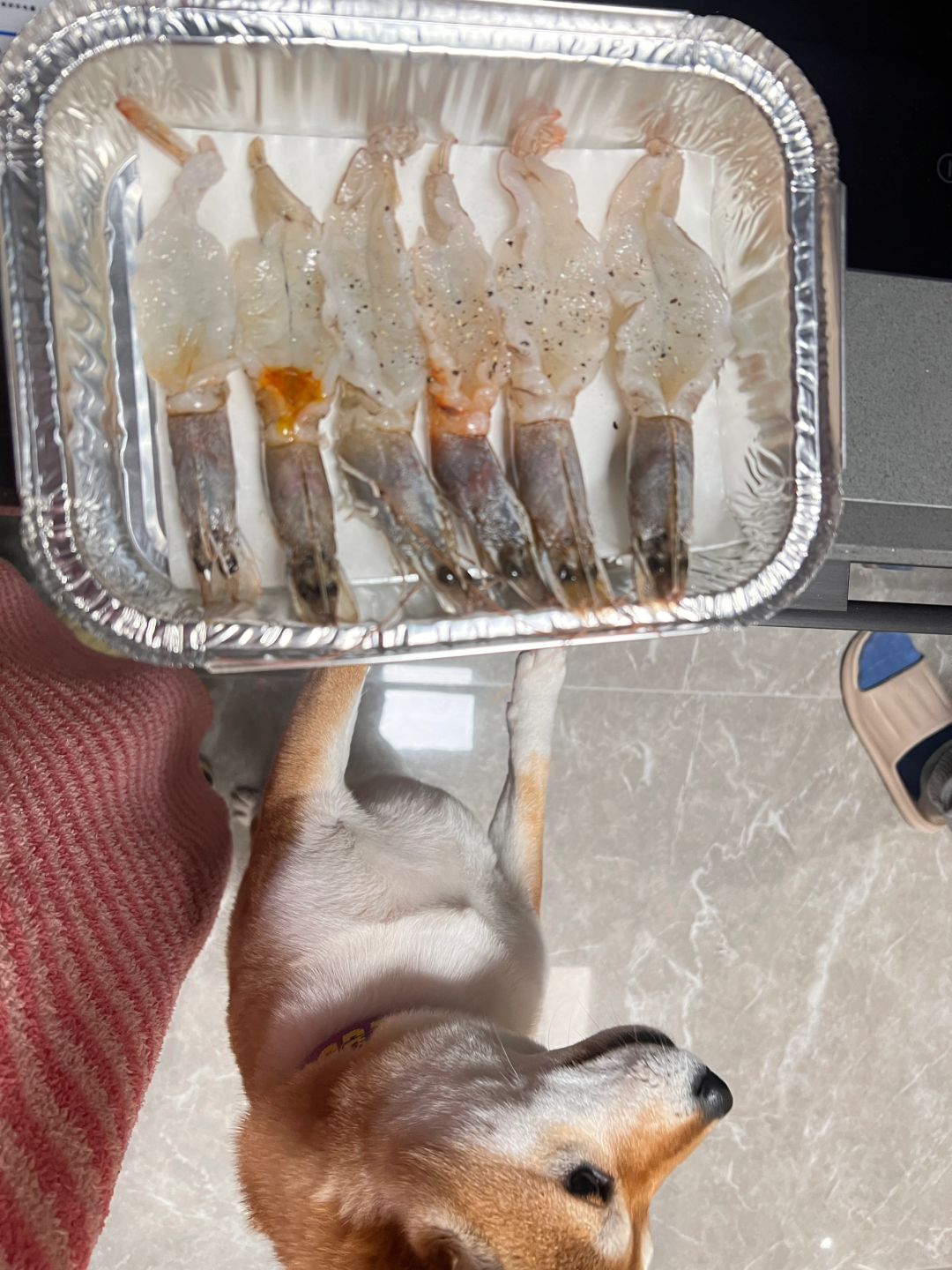 咩咩叹气ε=(´ο｀*)))唉