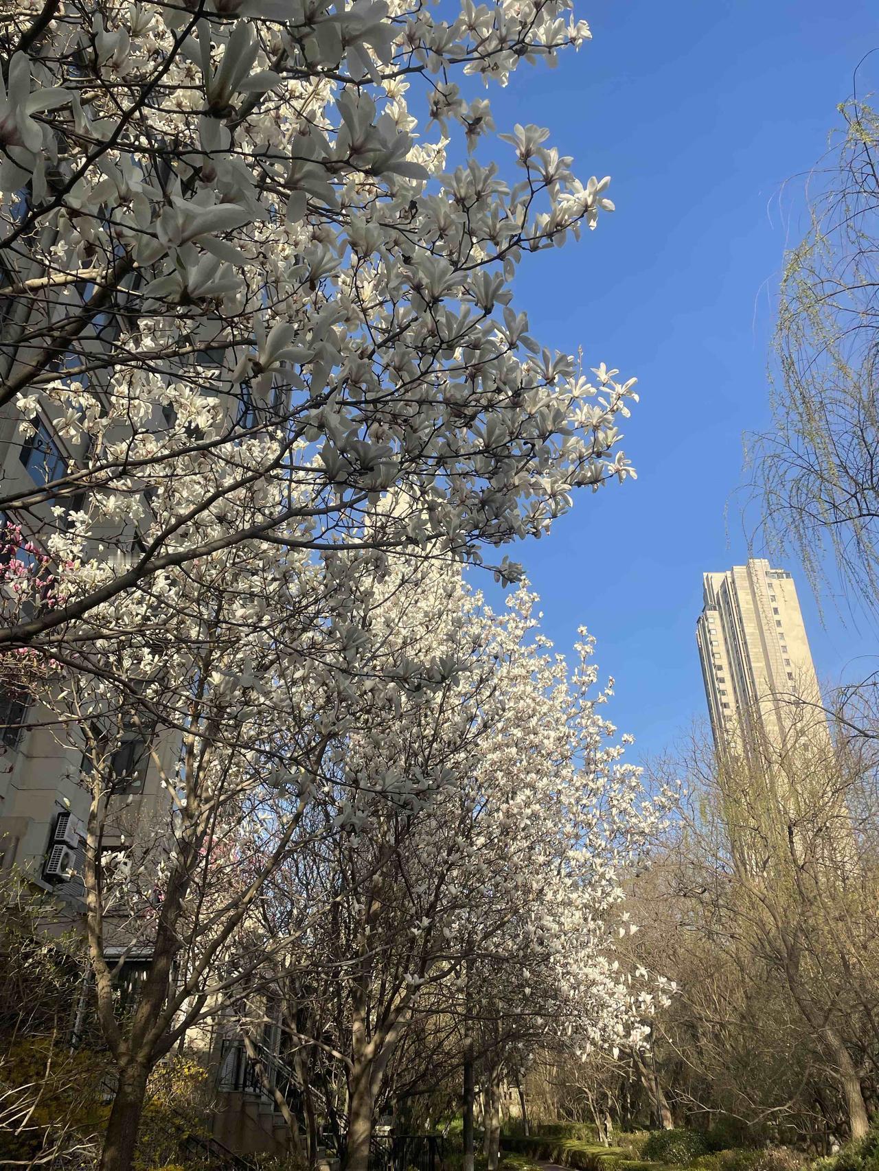 人生一定要学会“放”，时刻让自己处于灵明状态！

第一、放松

从皮肤开始放松，