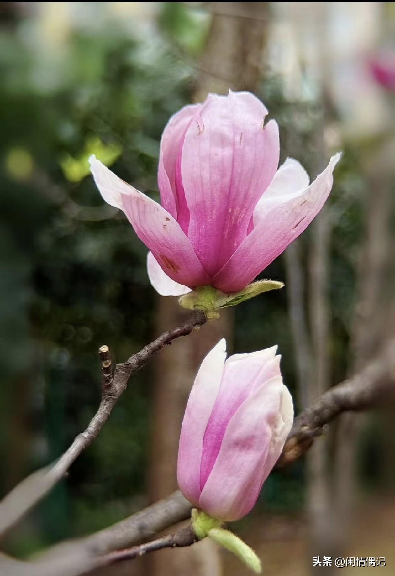 人到中年，日子过得像上了发条的钟，顾家顾孩子，唯独忘了自己。其实取悦自己哪需要多