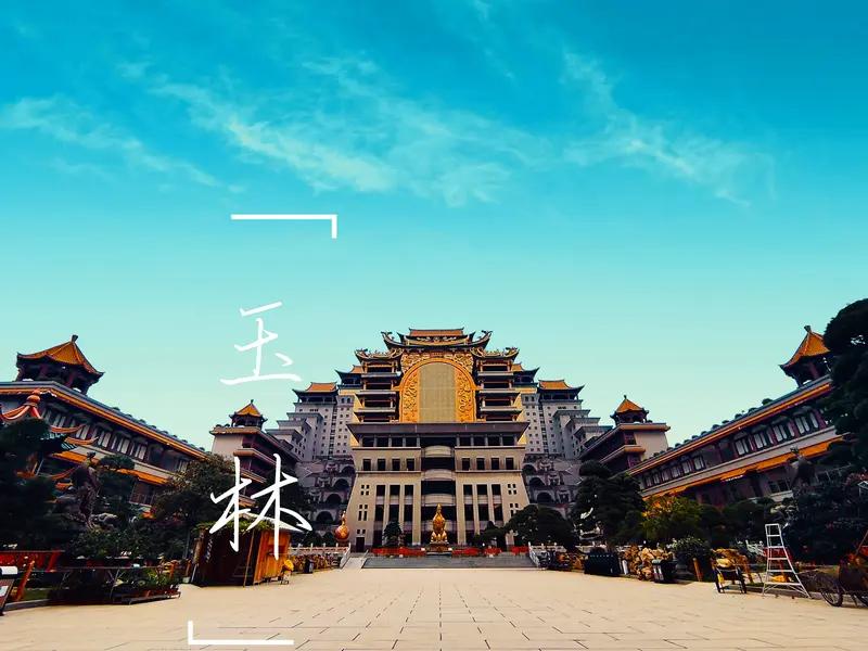 玉林好吃的可太多啦！玉州区解放路的玉林大兄云吞是老字号，鲜肉云吞、牛腩云吞都超棒