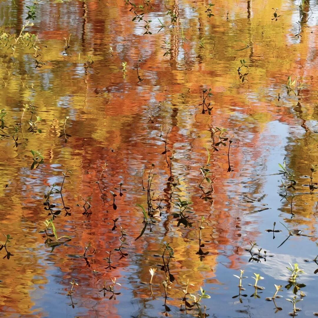 人生是用来体验的，不是用来演绎完美的，我慢慢能接受自己身上那些灰暗的部分，原谅自