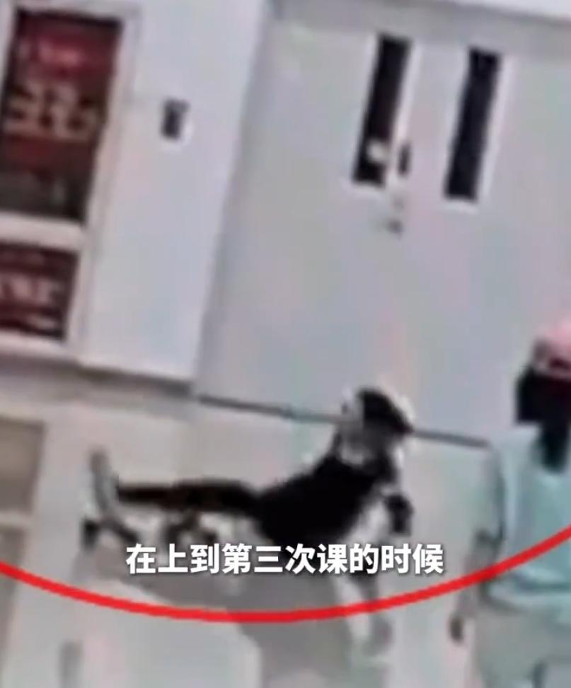 当代人无论学点什么，都要“买课”，这是人们钱多了，还是人们变笨了？
以前的人们，