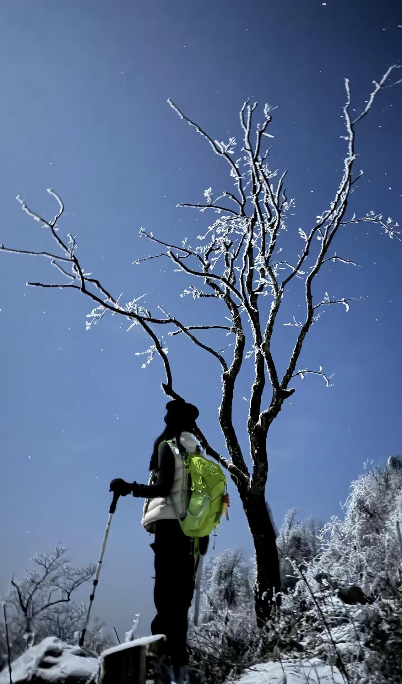 千佛山夜爬攻略 位置：绵阳市千佛山停车：40小黄车：60来回上顶大通铺住宿：40