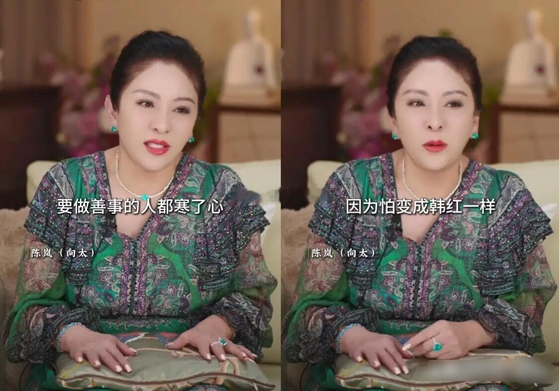 向太深夜为韩红发声：她是个好人，只是讲错了话，“别让做善事的人寒心！” 