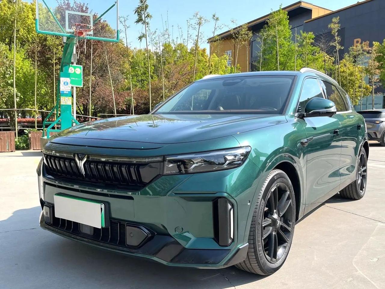 岚图 2024款 FREE 超长续航智驾版 24年挂牌 全车原漆，准新车
三电8