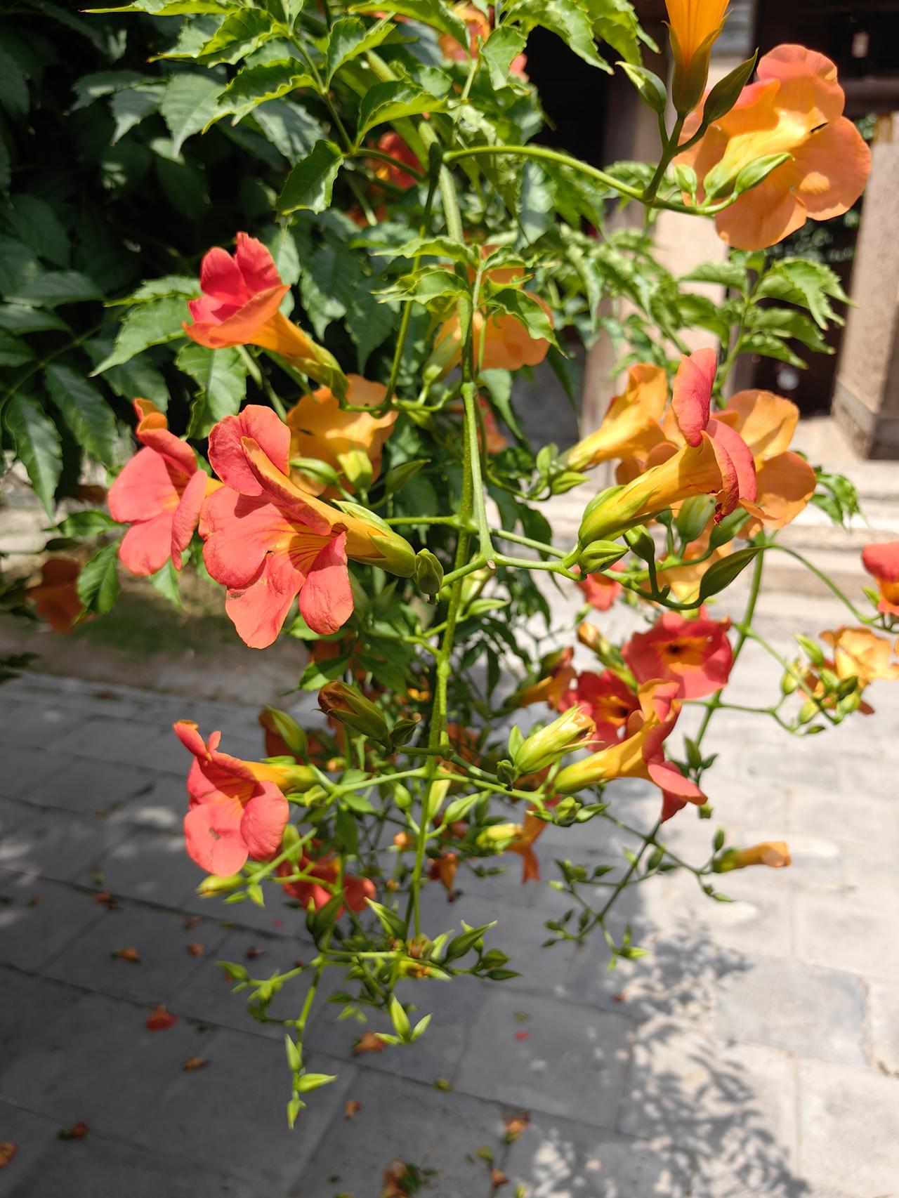 我在甘肃银行有一笔存款马上就要到期了，拿不定主意存哪家银行好。

存三年期的话，