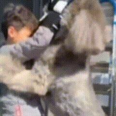 为啥偶们左皮皮突然火了 