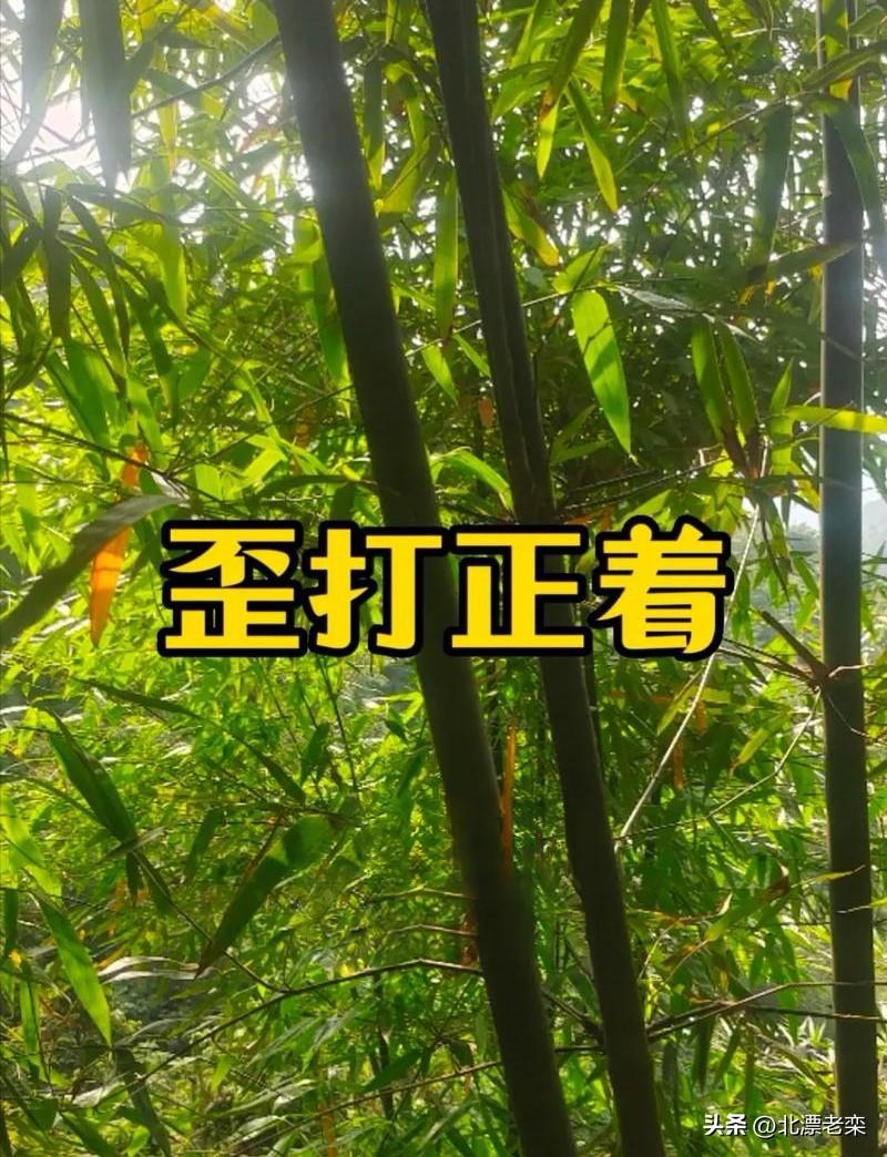 有些事情，阴差阳错和歪打正着不一定谁会先来。
   最近一个月我的堂妹和她老公从