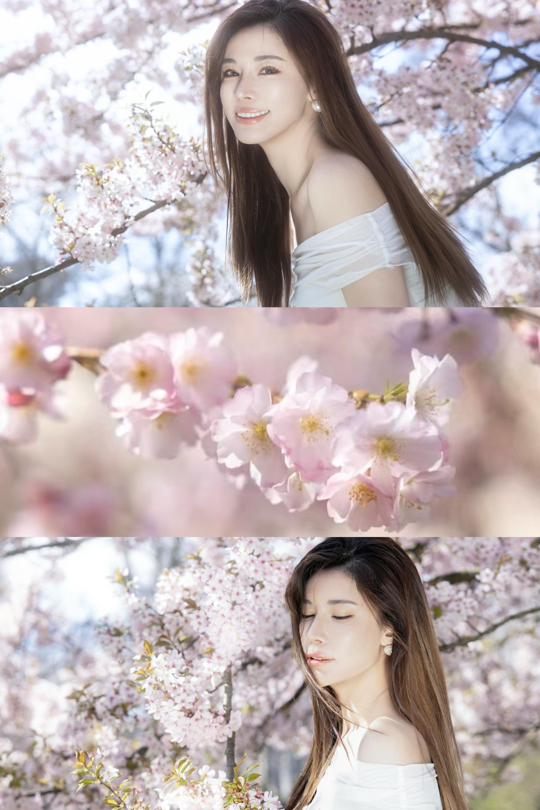 🇬🇧伦敦的樱花又开了。春天到了